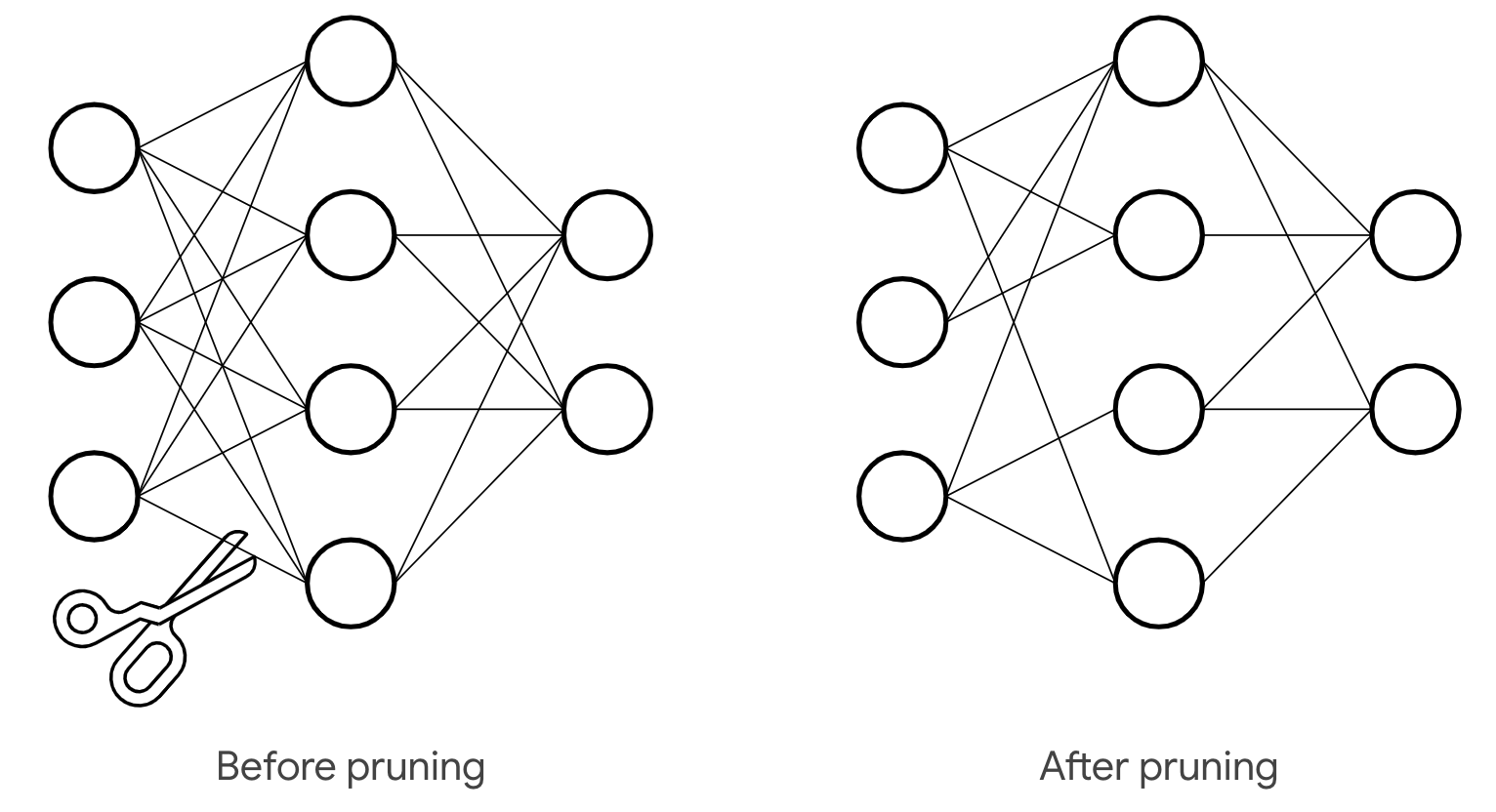 pruning image